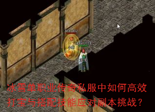 ѩְҵ˽θЧ似ӦԸս