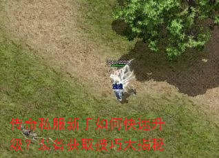传奇私服新手如何快速升级?装备获取技巧大揭秘 传奇私服新手如何快速升级?装备获取技巧大揭秘