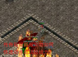 传奇私服新服宠物如何快速培养成顶级战力? 传奇私服新服宠物如何快速培养成顶级战力?