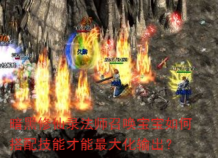 暗黑修仙录法师召唤宝宝如何搭配技能才能最大化输出? 暗黑修仙录法师召唤宝宝如何搭配技能才能最大化输出?