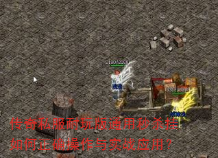 传奇私服耐玩版通用秒杀挂如何正确操作与实战应用? 传奇私服耐玩版通用秒杀挂如何正确操作与实战应用?