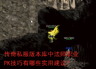 ˽汾зʦְҵPKЩʵý飿