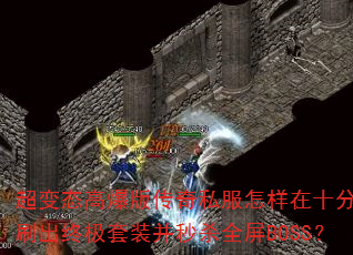 ̬߱洫˽ʮˢռװɱȫBOSS