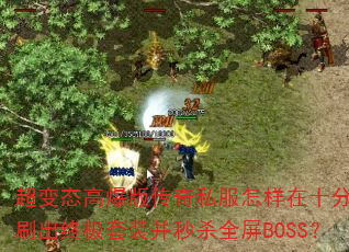 ̬߱洫˽ʮˢռװɱȫBOSS