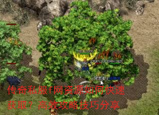 传奇私服f网资源如何快速获取?高效攻略技巧分享 传奇私服f网资源如何快速获取?高效攻略技巧分享