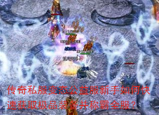 传奇私服变态公益服新手如何快速获取极品装备并称霸全服? 传奇私服变态公益服新手如何快速获取极品装备并称霸全服?