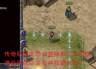传奇私服变态公益服新手如何快速获取极品装备并称霸全服? 传奇私服变态公益服新手如何快速获取极品装备并称霸全服?