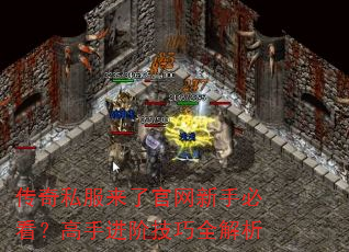 传奇私服来了官网新手必看?高手进阶技巧全解析 传奇私服来了官网新手必看?高手进阶技巧全解析