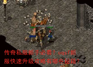 传奇私服新手必看?cqsf新服快速升级攻略有哪些秘籍? 传奇私服新手必看?cqsf新服快速升级攻略有哪些秘籍?