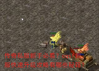 传奇私服新手必看?cqsf新服快速升级攻略有哪些秘籍? 传奇私服新手必看?cqsf新服快速升级攻略有哪些秘籍?