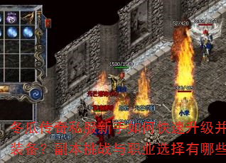 冬瓜传奇私服新手如何快速升级并获取顶级装备?副本挑战与职业选择有哪些技巧? 冬瓜传奇私服新手如何快速升级并获取顶级装备?副本挑战与职业选择有哪些技巧?