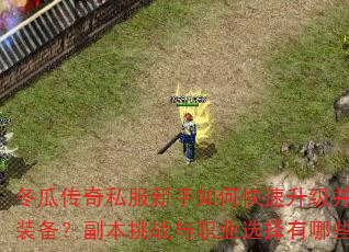 冬瓜传奇私服新手如何快速升级并获取顶级装备?副本挑战与职业选择有哪些技巧? 冬瓜传奇私服新手如何快速升级并获取顶级装备?副本挑战与职业选择有哪些技巧?