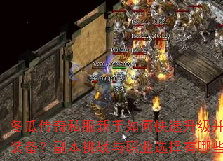 冬瓜传奇私服新手如何快速升级并获取顶级装备?副本挑战与职业选择有哪些技巧? 冬瓜传奇私服新手如何快速升级并获取顶级装备?副本挑战与职业选择有哪些技巧?