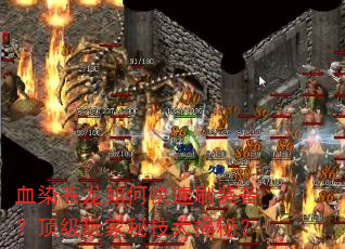 血染苍龙如何快速刷装备?顶级玩家秘技大揭秘? 血染苍龙如何快速刷装备?顶级玩家秘技大揭秘?