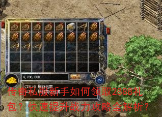 传奇私服新手如何领取2888礼包?快速提升战力攻略全解析? 传奇私服新手如何领取2888礼包?快速提升战力攻略全解析?