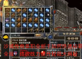 沙城传奇单职业新手如何快速称霸全服?终极战力提升秘籍大揭秘 沙城传奇单职业新手如何快速称霸全服?终极战力提升秘籍大揭秘