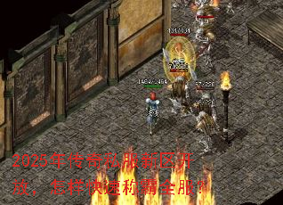 2025年传奇私服新区开放,怎样快速称霸全服? 2025年传奇私服新区开放,怎样快速称霸全服?