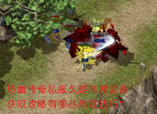 热血传奇私服久游商城装备获取攻略有哪些高效技巧? 热血传奇私服久游商城装备获取攻略有哪些高效技巧?