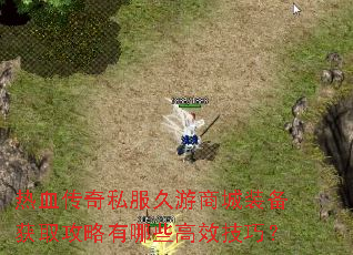 热血传奇私服久游商城装备获取攻略有哪些高效技巧? 热血传奇私服久游商城装备获取攻略有哪些高效技巧?