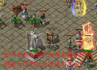 新手玩家如何在传奇私服新区快速提升战力与获取稀有装备? 新手玩家如何在传奇私服新区快速提升战力与获取稀有装备?