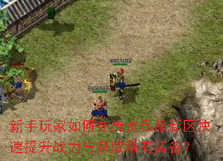 新手玩家如何在传奇私服新区快速提升战力与获取稀有装备? 新手玩家如何在传奇私服新区快速提升战力与获取稀有装备?