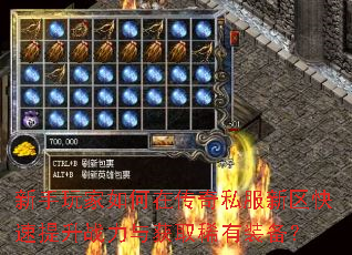 新手玩家如何在传奇私服新区快速提升战力与获取稀有装备? 新手玩家如何在传奇私服新区快速提升战力与获取稀有装备?