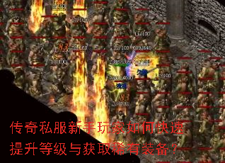 传奇私服新手玩家如何快速提升等级与获取稀有装备? 传奇私服新手玩家如何快速提升等级与获取稀有装备?