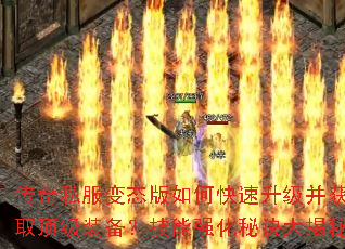 ����˽����̬����ο�����������ȡ����װ��������ǿ���ؾ������