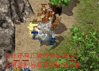 ���ڻ������洫��˽������μ������Ч����ȫ����