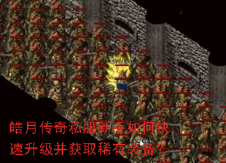 皓月传奇私服新手如何快速升级并获取稀有装备? 皓月传奇私服新手如何快速升级并获取稀有装备?