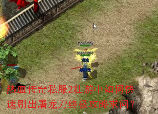 ��Ѫ����˽��2׳������ο���ˢ���������ռ��������ʣ�