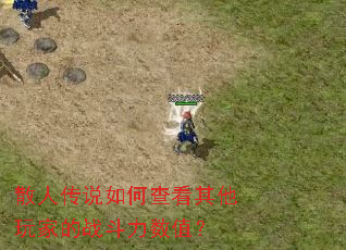 ɢ�˴�˵��β鿴������ҵ�ս������ֵ��