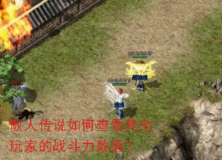 ɢ�˴�˵��β鿴������ҵ�ս������ֵ��