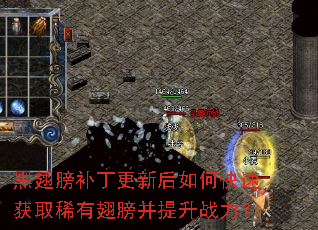 �ڳ�򲹶����º���ο��ٻ�ȡϡ�г������ս����