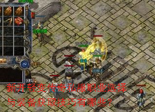 �¿���䴫��˽��ְҵѡ����װ����ȡ��������Щ��