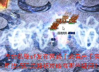 ����˽��sf���������ֱؿ�����ʵ�ü����淨������������Щ���ʣ�