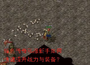 ��ɫ����˽��������ο�������ս����װ����