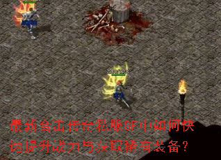 ���ºϻ�����˽��SF����ο�������ս�����ȡϡ��װ����