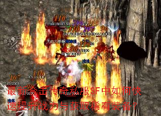 ���ºϻ�����˽��SF����ο�������ս�����ȡϡ��װ����