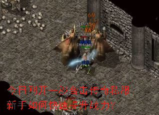 ���ոտ�һ��ϻ�����˽��������ο�������ս����