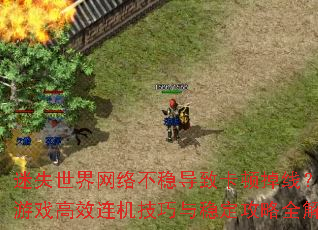 ��ʧ�������粻�ȵ��¿��ٵ��ߣ�������Ϸ��Ч�����������ȶ�����ȫ����