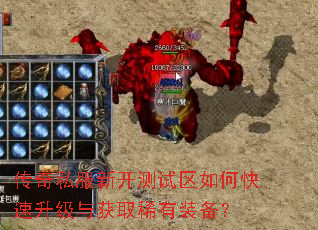 ����˽���¿���������ο����������ȡϡ��װ����