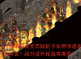 ���浥ְҵ��̬��������ο���ˢ����װ��ս�������ؼ�����Щ��