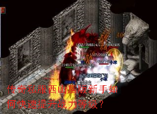 ����˽����ɽ�Ӱ�������ο�������ս���ȼ���