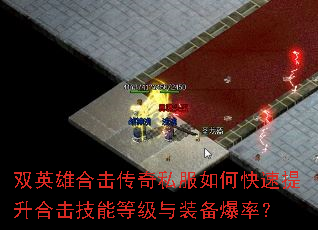 ˫Ӣ�ۺϻ�����˽����ο��������ϻ����ܵȼ���װ�����ʣ�