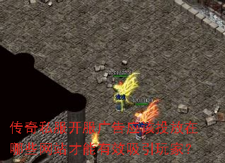 ����˽���������Ӧ��Ͷ������Щ��վ������Ч������ң�