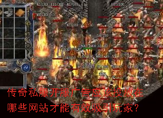 ����˽���������Ӧ��Ͷ������Щ��վ������Ч������ң�