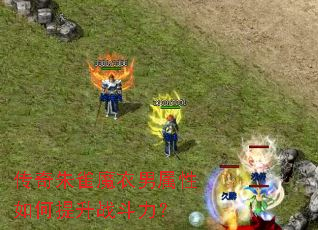 传奇朱雀魔衣男属性如何提升战斗力? 传奇朱雀魔衣男属性如何提升战斗力?