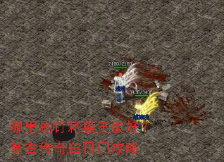 ����ˢ����è����ã����Ŵ�������Ź���