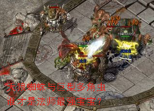 天狼蜘蛛与巨型多角虫谁才是法师最强宝宝? 天狼蜘蛛与巨型多角虫谁才是法师最强宝宝?